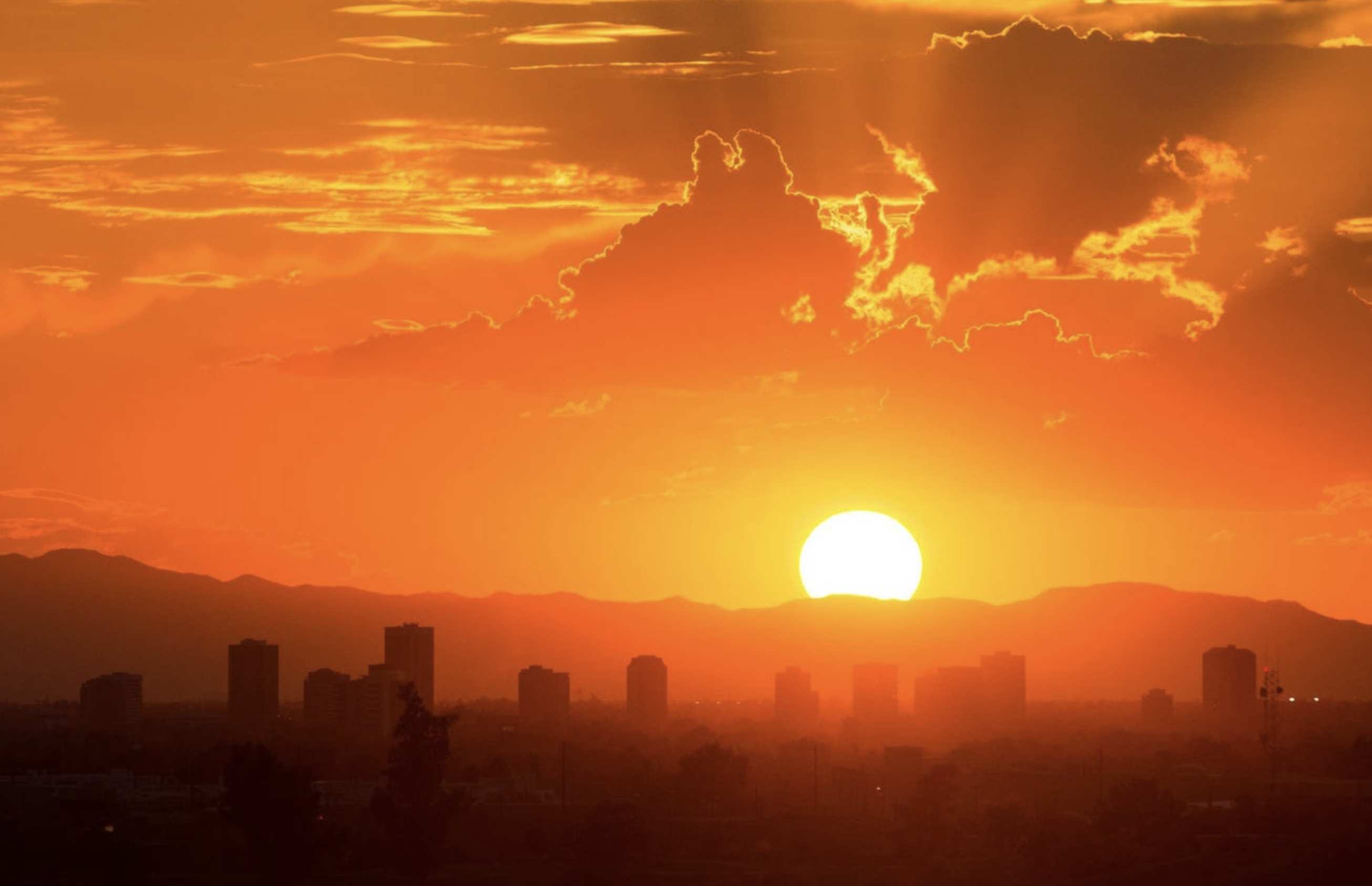 10 Ways You Can Adapt to the Warming Climate